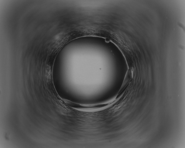 X0000093761251200710161216