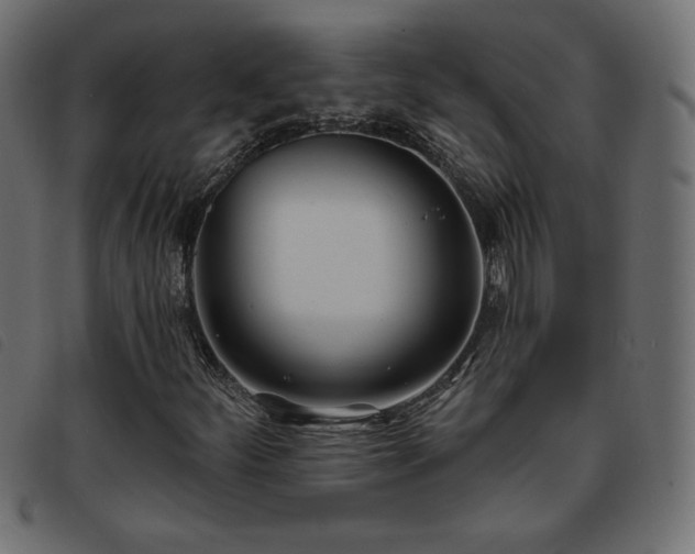 X0000093761252200710161216