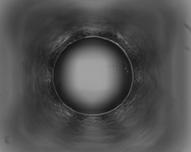 X0000093761253200710161216