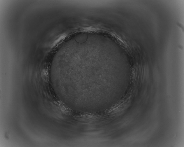 X0000093761254200710161216
