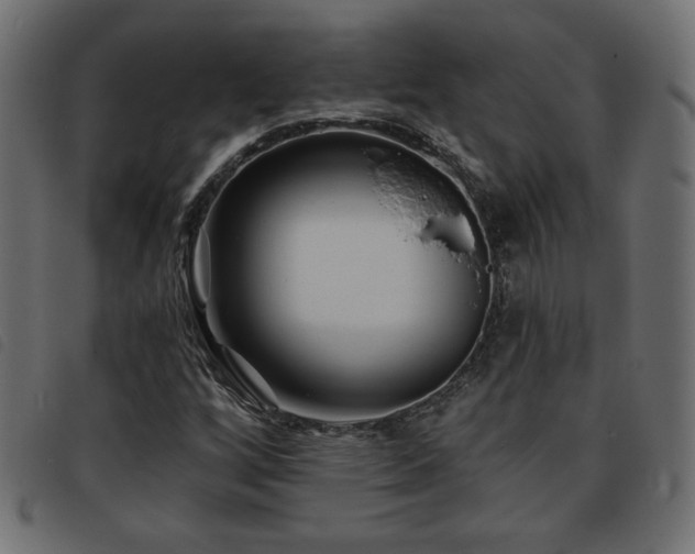 X0000093761256200710161216