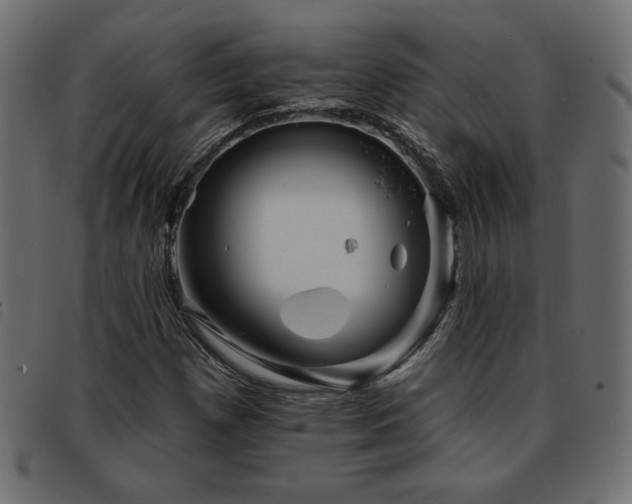 X0000093761257200710161216