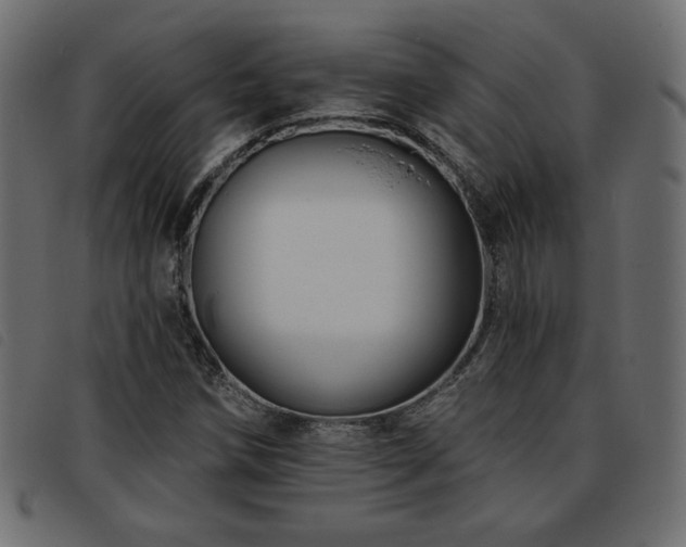 X0000093761258200710161216
