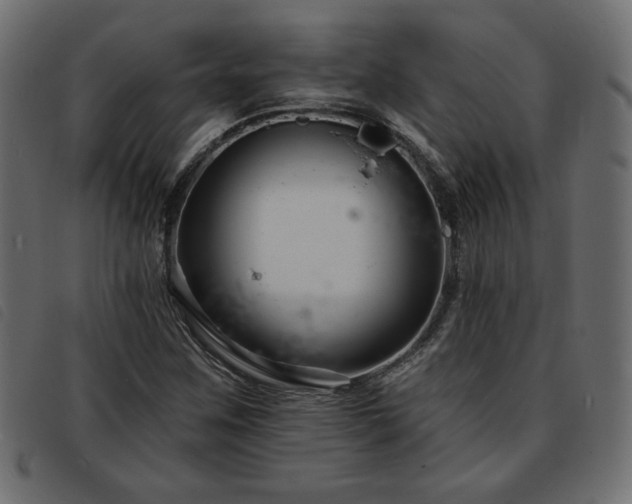 X0000093761259200710161216