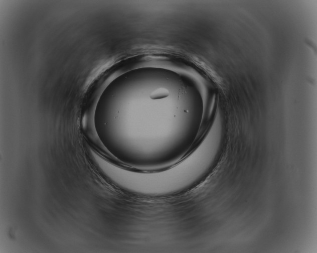 X0000093761261200710161216