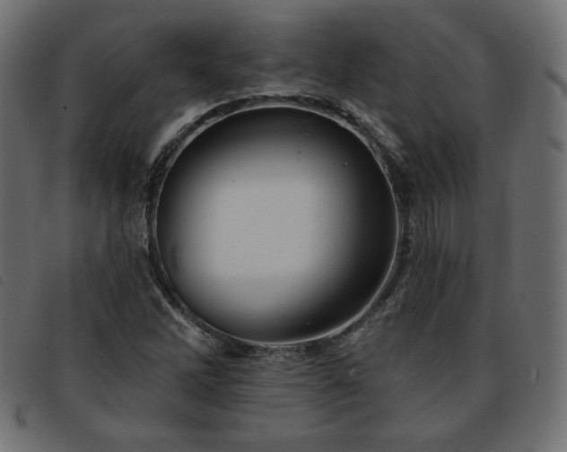 X0000093761262200710161216