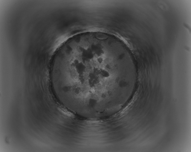 X0000093761263200710161216