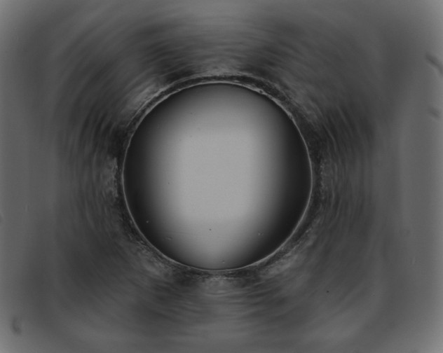 X0000093761265200710161216