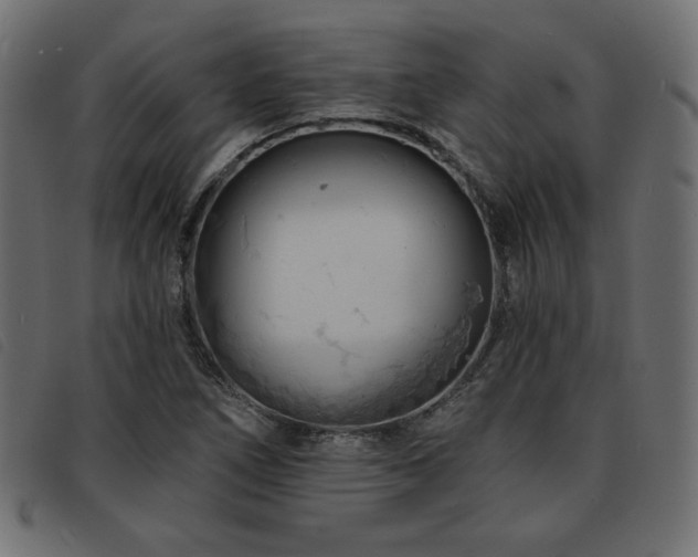 X0000093761266200710161216