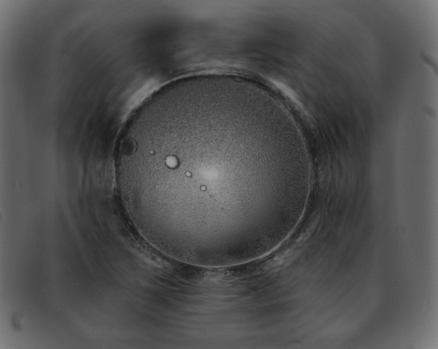 X0000093761267200710161216