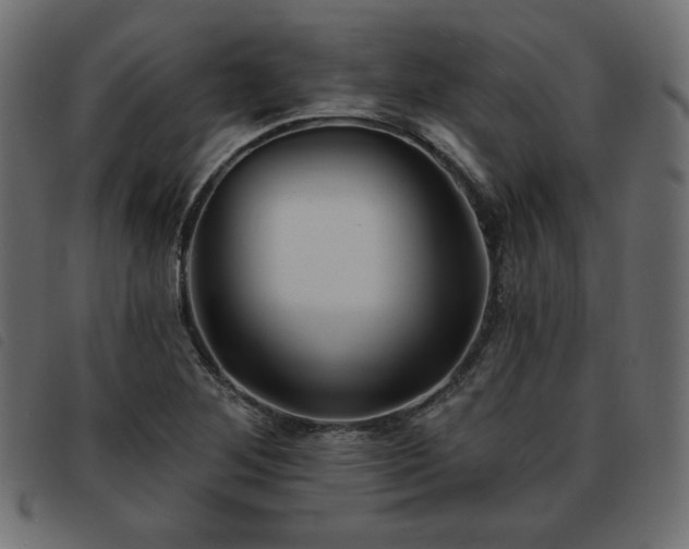 X0000093761268200710161216