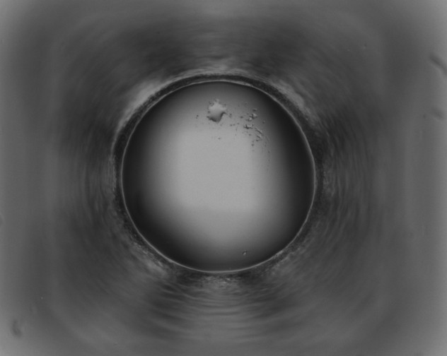 X0000093761270200710161216