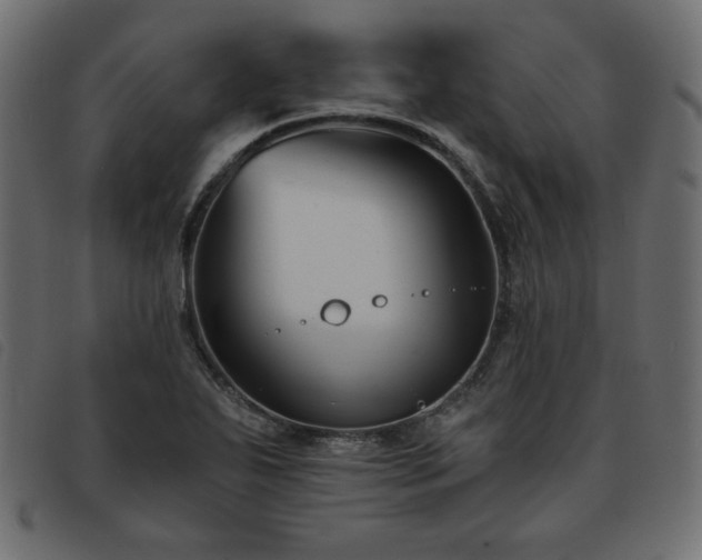 X0000093761271200710161216