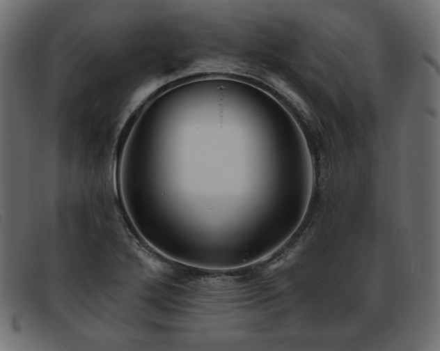 X0000093761272200710161216