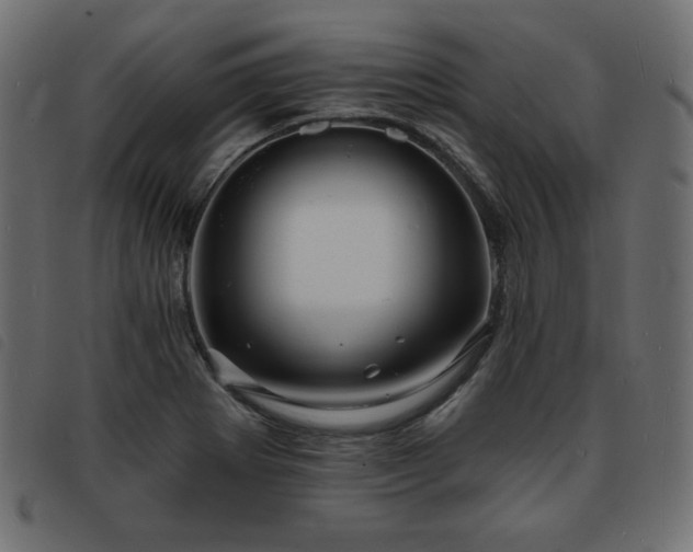 X0000093761273200710161216