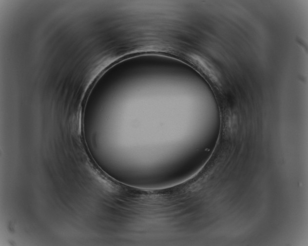 X0000093761276200710161216