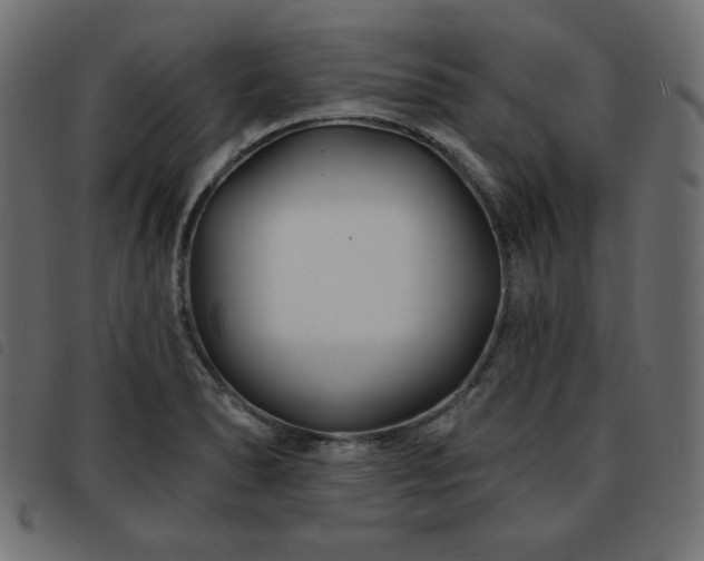 X0000093761278200710161216