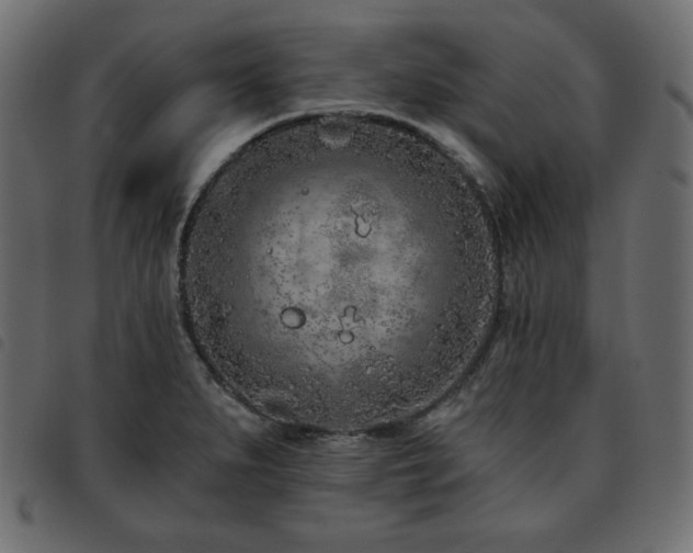 X0000093761279200710161216