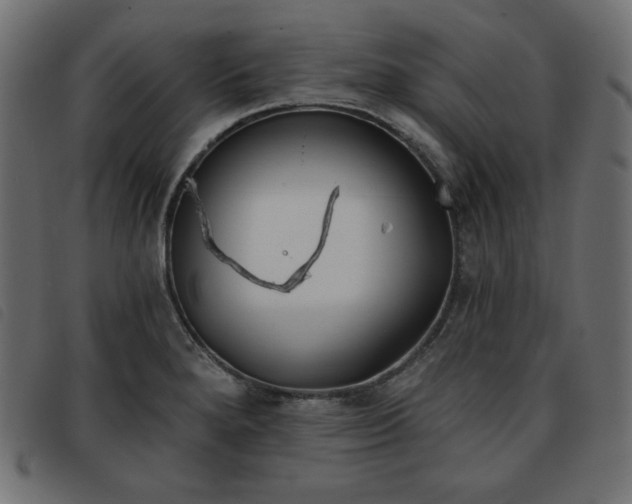 X0000093761280200710161216