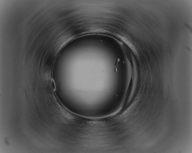 X0000093761281200710161216