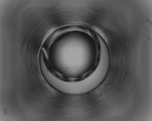X0000093761283200710161216