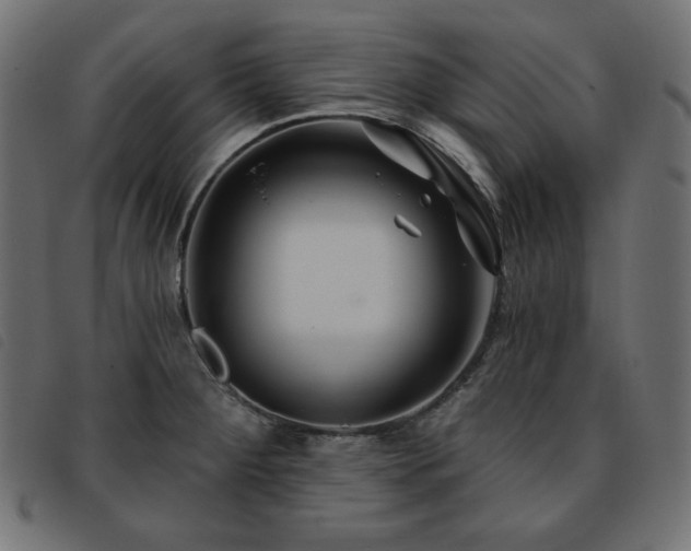 X0000093761284200710161216