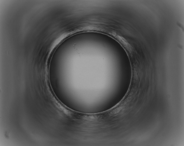 X0000093761286200710161216