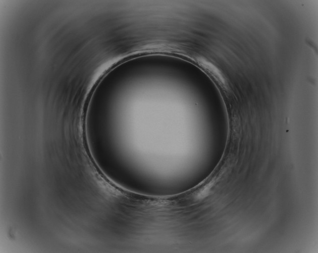 X0000093761288200710161216