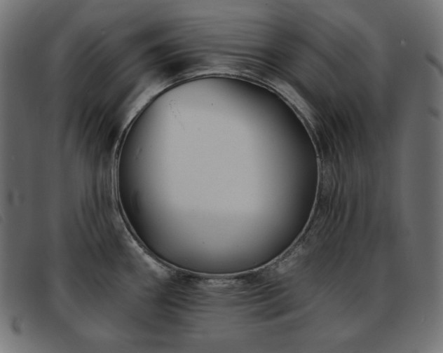 X0000093761290200710161216