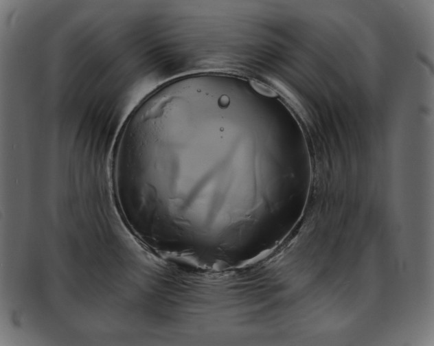 X0000093761291200710161216