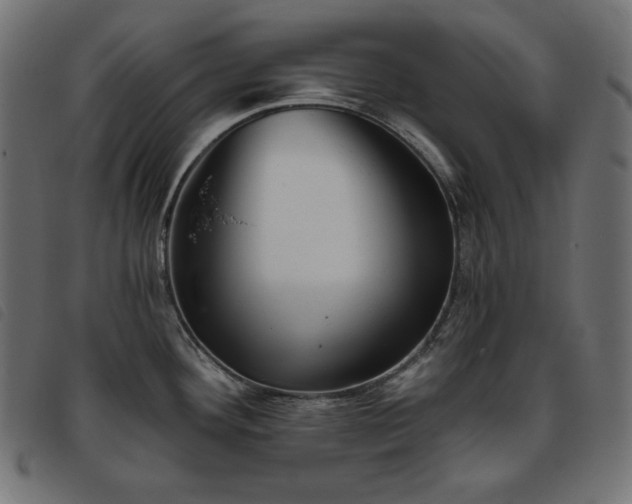 X0000093761292200710161216