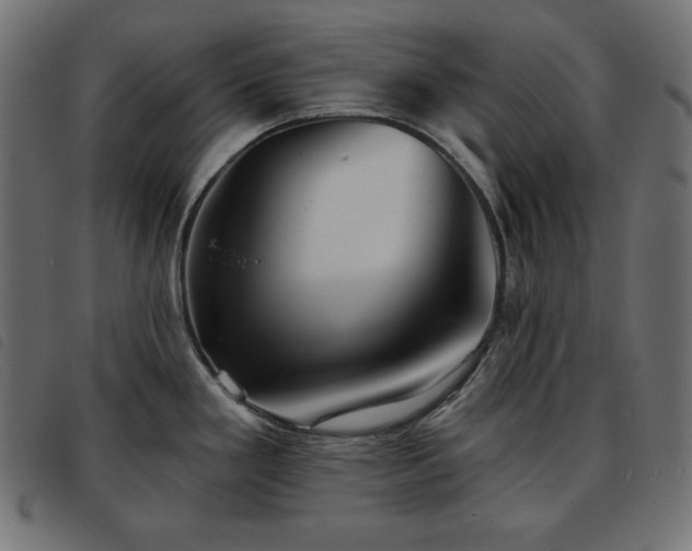 X0000093761293200710161216