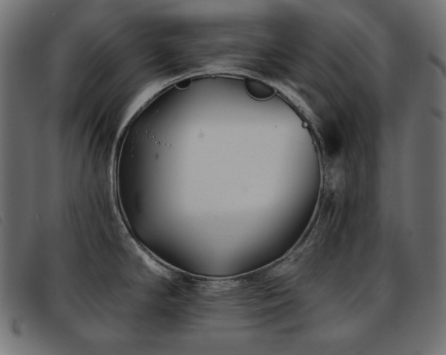 X0000093761294200710161216