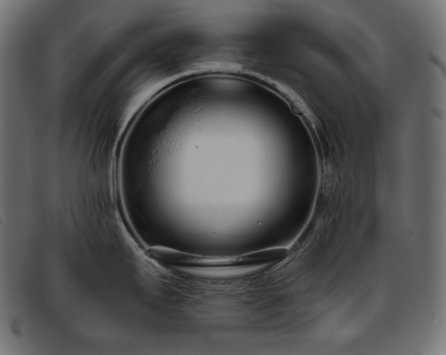 X0000093761295200710161216