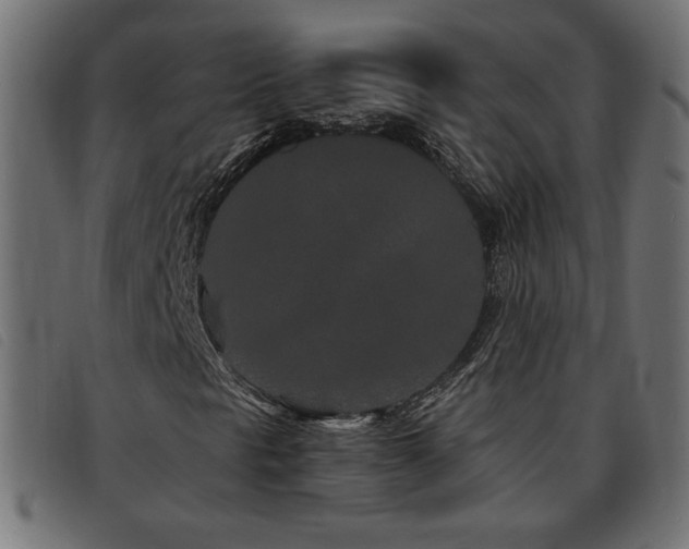 X0000093761297200710161215