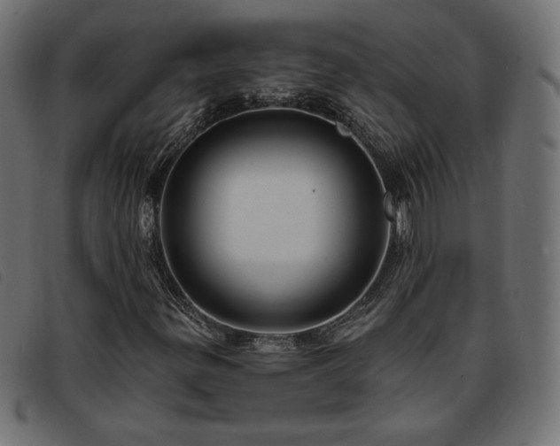 X0000093761299200710161215