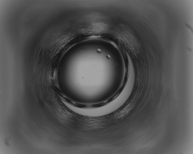 X0000093761300200710161215