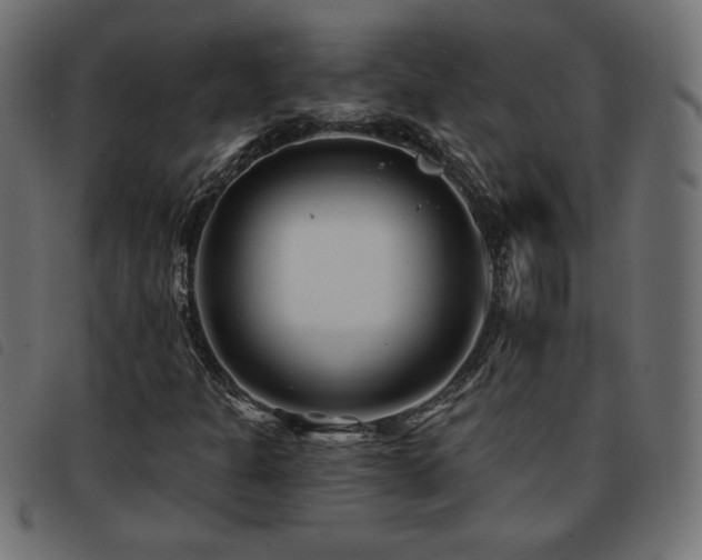 X0000093761301200710161215