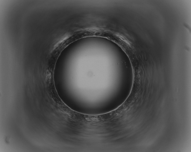 X0000093761302200710161215