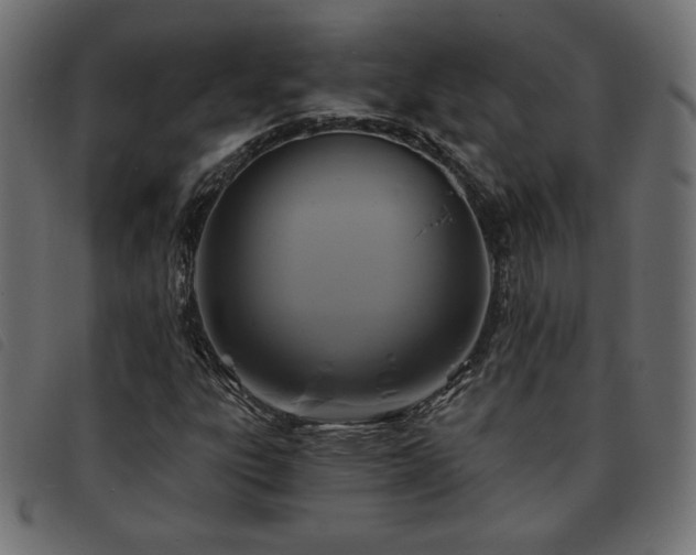X0000093761303200710161215