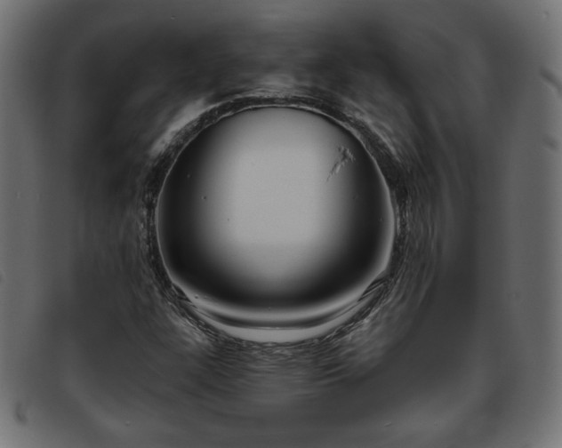 X0000093761304200710161215