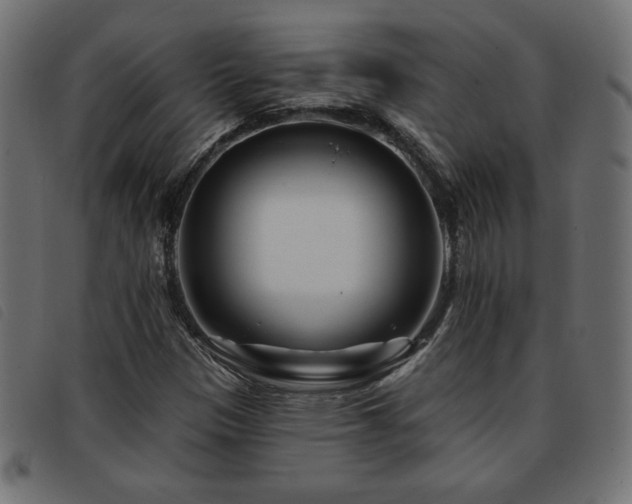 X0000093761305200710161215