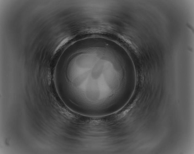 X0000093761306200710161215