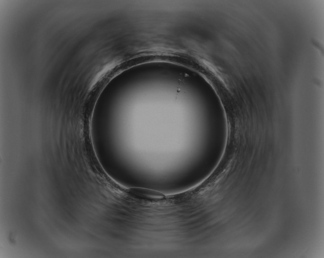 X0000093761307200710161215