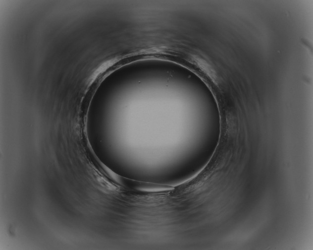 X0000093761308200710161215
