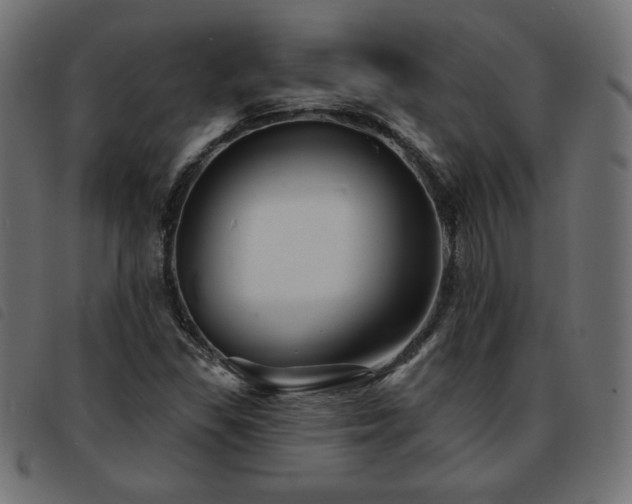 X0000093761309200710161215