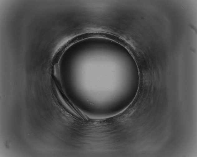 X0000093761311200710161215