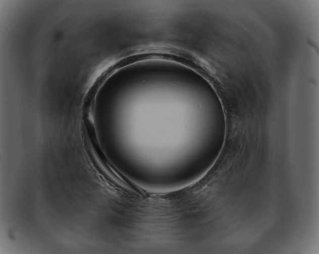 X0000093761312200710161215