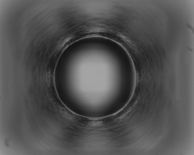 X0000093761313200710161215