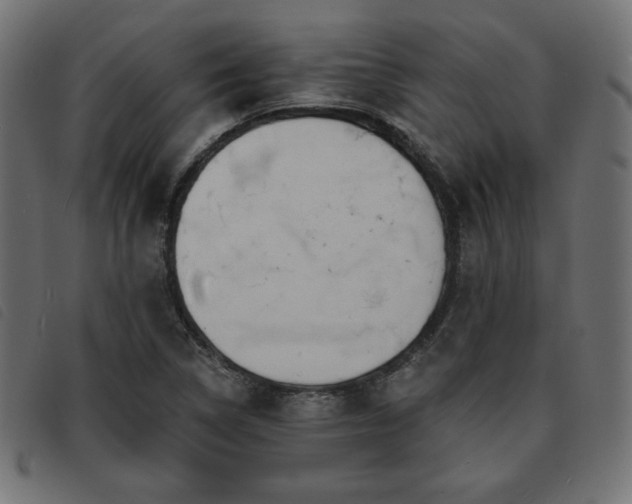 X0000093761314200710161215